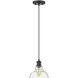 Yep Carver Pendant Ceiling Light in Matte Black, Clear Glass, Small