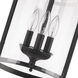 Payton 3 Light 9 inch Matte Black Pendant Ceiling Light, Caged