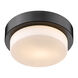 Multi-Family 1 Light 9 inch Matte Black Flush Mount Ceiling Light, Damp