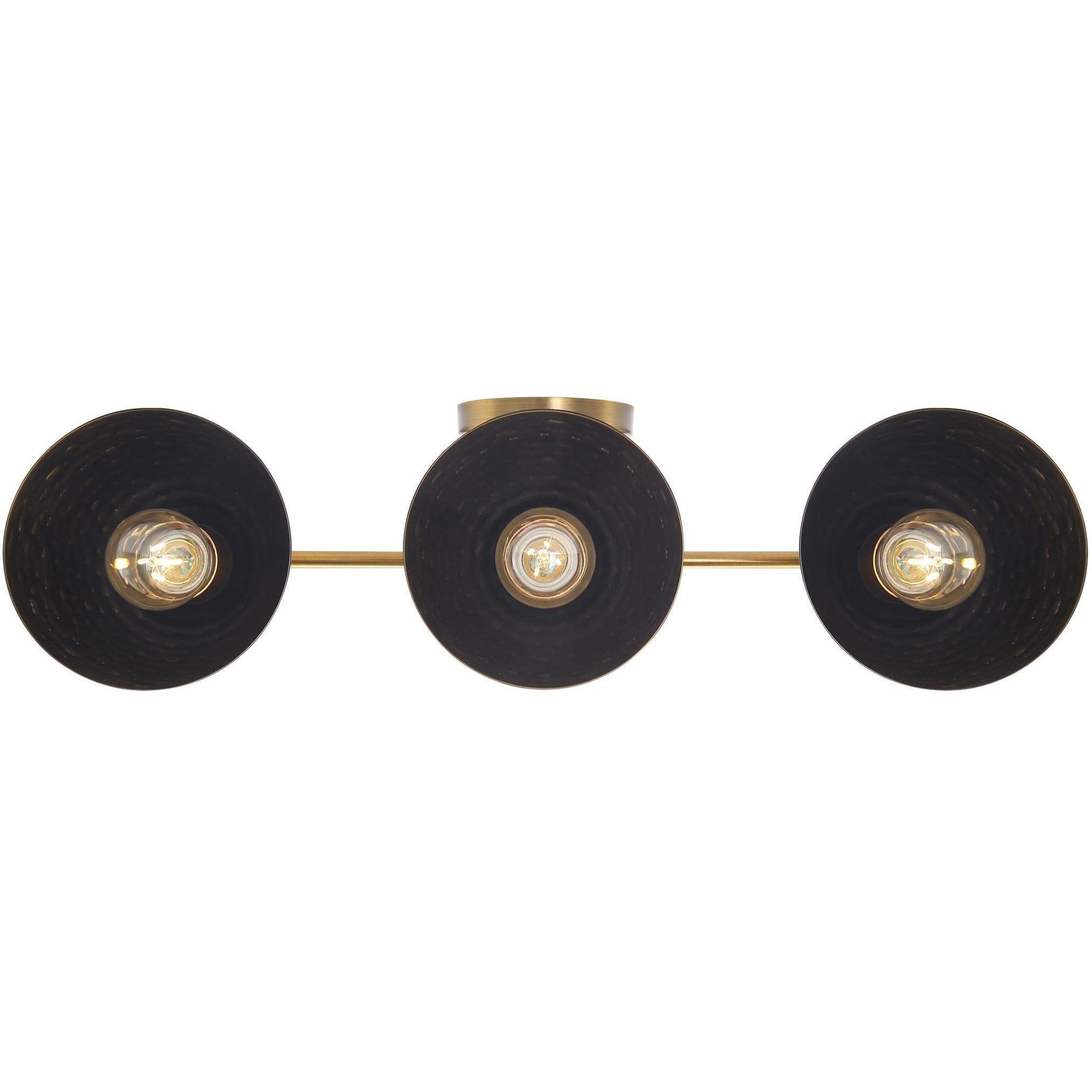 Shepard Vanity Wall Light in Matte Black