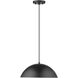 Walker 2 Light 14 inch Matte Black Pendant Ceiling Light