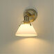 Orwell 1 Light 9 inch Brushed Champagne Bronze Bath Vanity Wall Light in Opal Glass