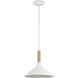Journey 1 Light 12 inch Natural White Pendant Ceiling Light