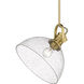 Yep Hines 1 Light 13.5 inch Brushed Champagne Brass Pendant Ceiling Light in Seeded Glass, Large