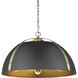 Aldrich Pendant Ceiling Light in Aged Brass, Matte Black