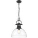 Yep Duncan Pendant Ceiling Light in Matte Black, Clear Glass