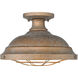 Bartlett 2 Light 14 inch Copper Patina Semi-Flush Mount Ceiling Light, Damp
