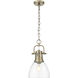 Yep Duncan 1 Light 8.88 inch Aged Brass Pendant Ceiling Light in Clear Glass