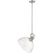 Hines 1 Light 14 inch Pewter Pendant Ceiling Light in Seeded Glass, Large
