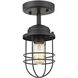 Seaport 1 Light 4.63 inch Semi-Flush Mount
