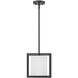 Manhattan Pendant Ceiling Light, Damp