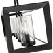 Smyth Island Light Ceiling Light in Matte Black, Clear Glass