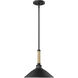 Journey Pendant Ceiling Light in Natural Black