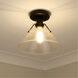 Orwell 1 Light 10 inch Matte Black Flush Mount Ceiling Light in Clear Glass