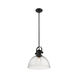 Hines 1 Light 14 inch Matte Black Pendant Ceiling Light in Seeded Glass, Large