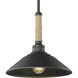 Journey Pendant Ceiling Light in Natural Black