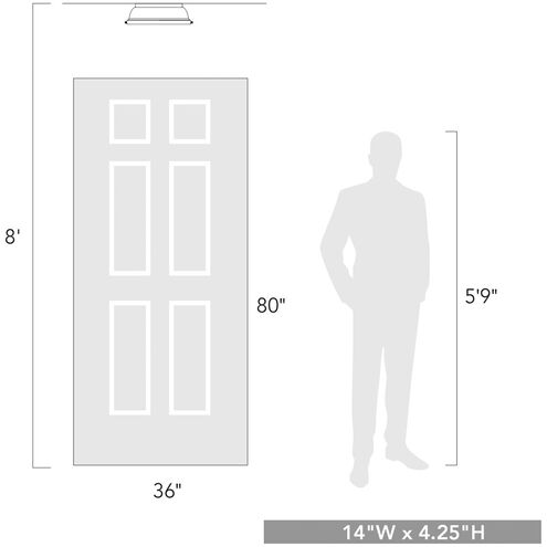 Duncan 2 Light 14 inch Pewter Flush Mount Ceiling Light in White, Damp