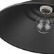 Journey Pendant Ceiling Light in Natural Black