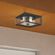 Smyth 2 Light 5.88 inch Natural Black Outdoor Ceiling in Seeded Glass