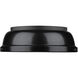 Yep Duncan 2 Light 14 inch Matte Black Flush Mount Ceiling Light, Damp