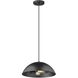 Walker 2 Light 14 inch Matte Black Pendant Ceiling Light