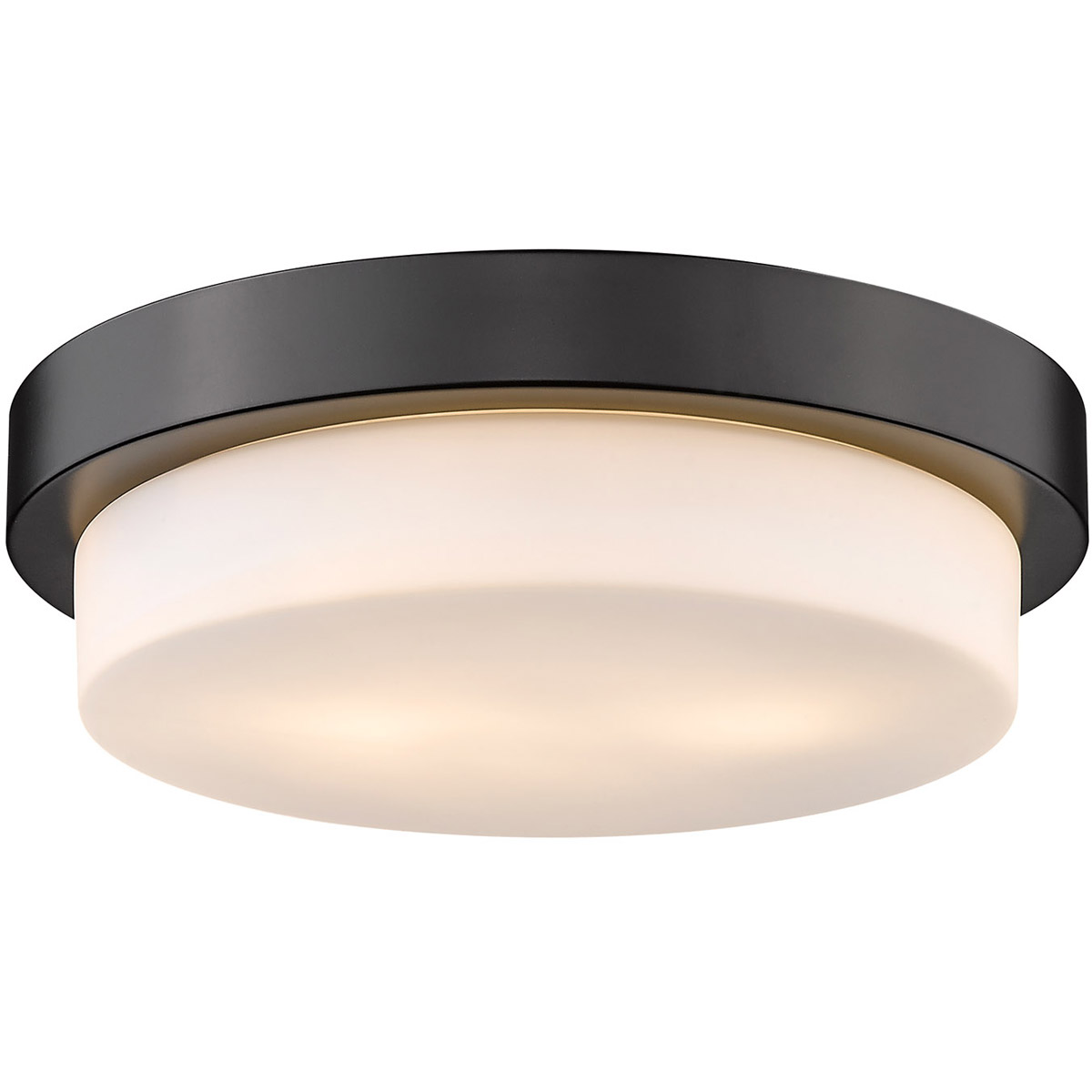 13 ceiling light online